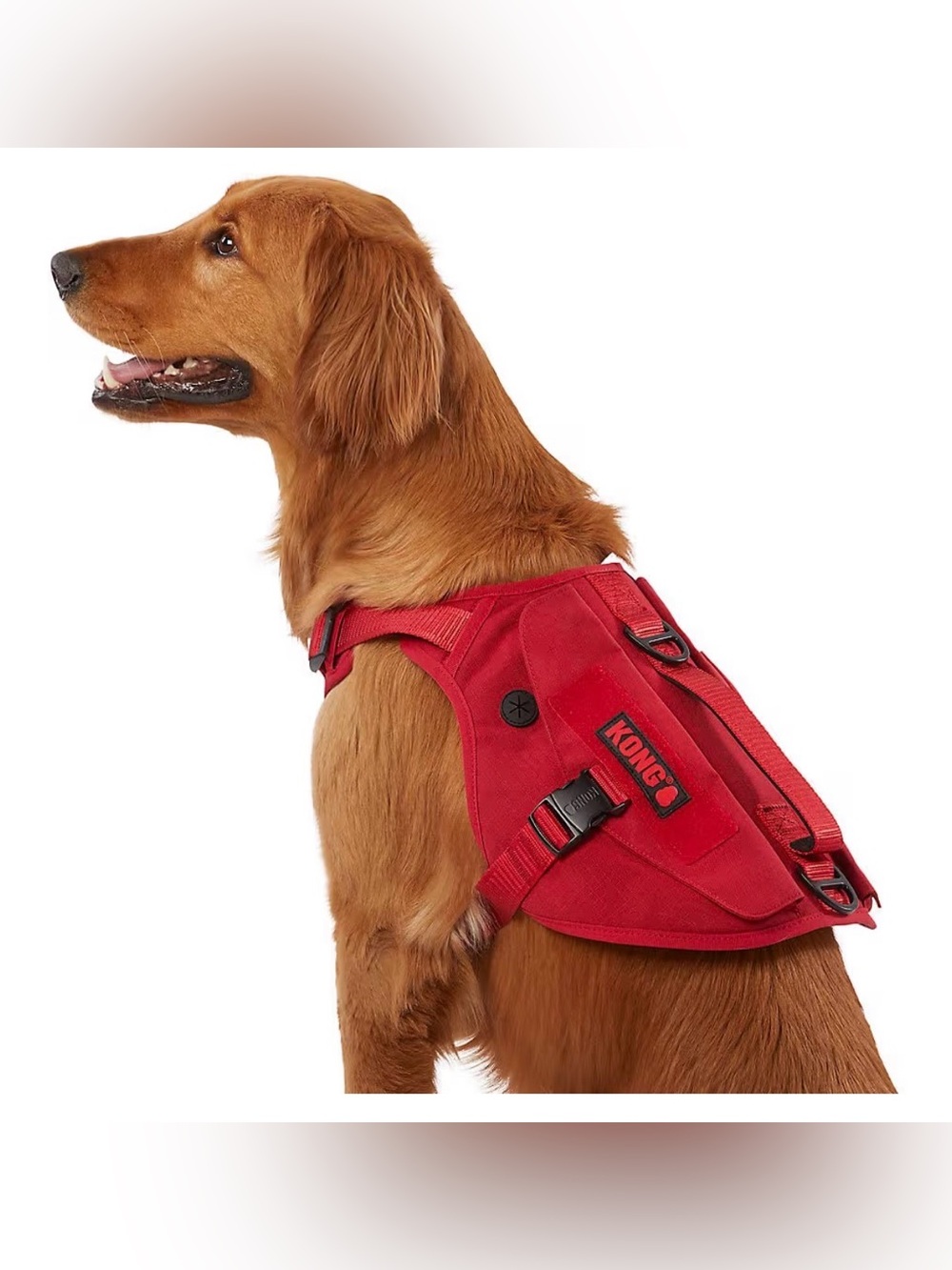 KONG Red Heavy-Duty Dog Harness with Secure Buckles